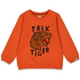 Overview image: Sturdy sweater talking tiger