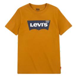Overview image: Levi's t-shirt batwing tee