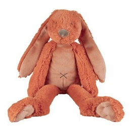 Overview image: Happy horse rabbit Richie 