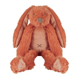 Overview image: Happy horse rabbit Richie oran