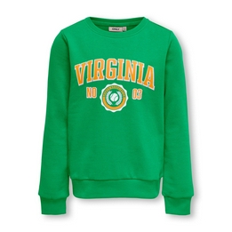 Overview image: Only sweater virginia
