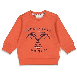 Overview image: Feetje sweater sun chasers