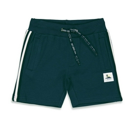 Overview image: Sturdy short bay bandits