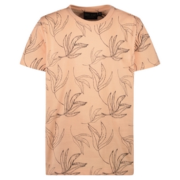 Overview image: Cars shirt breaze