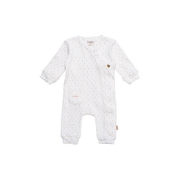 Overview image: BESS playsuit