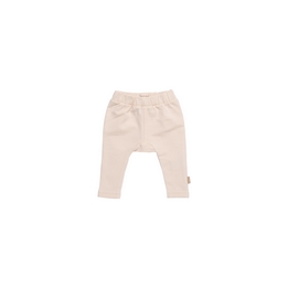 Overview image: BESS legging