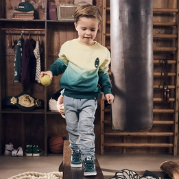 Overview second image: Z8 sweater alfred