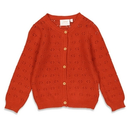 Overview image: Jubel vest have a nice daisy 