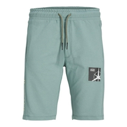 Overview image: Jack&Jones shorts filo