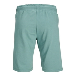 Overview second image: Jack&Jones shorts filo