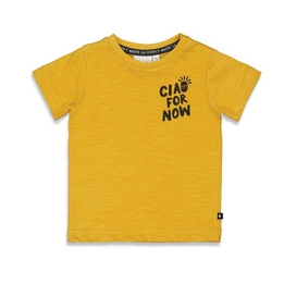 Overview image: Feetje shirt tiki island