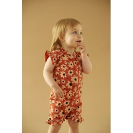 Overview second image: Feetje shirt have a nice daisy
