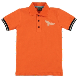 Overview image: B' chill polo niek