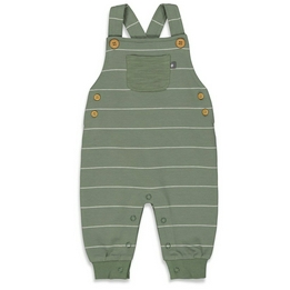 Overview image: Feetje tuinbroek cool a saurus