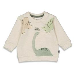 Overview image: Feetje sweater cool a saurus