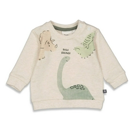 Overview image: Feetje sweater cool a saurus