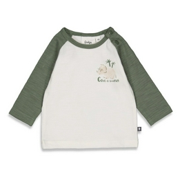 Overview image: Feetje shirt cool a saurus