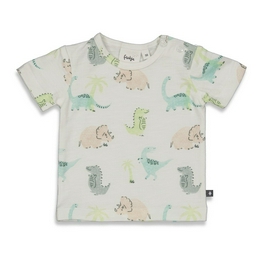 Overview image: Feetje shirt cool a saurus