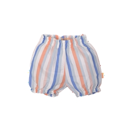 Overview image: BESS short striped