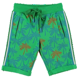 Overview image: B' chill short ticho