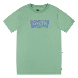 Overview image: Levi's t-shirt batwing tee