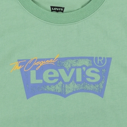 Overview second image: Levi's t-shirt batwing tee