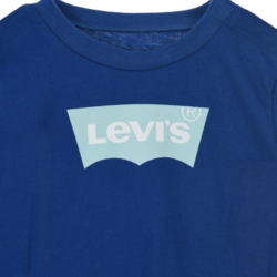 Overview second image: Levi's t-shirt batwing tee