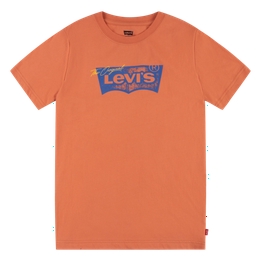 Overview image: Levi's t-shirt batwing tee