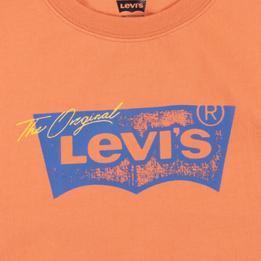 Overview second image: Levi's t-shirt batwing tee