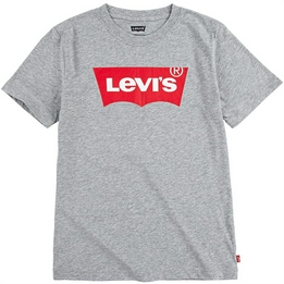 Overview image: Levi's t-shirt batwing tee
