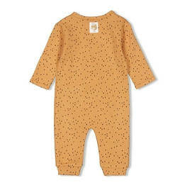 Overview second image: Feetje jumpsuit tiny roar