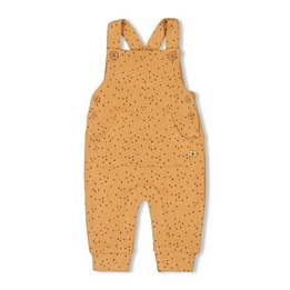 Overview image: Feetje tuinbroek tiny roar