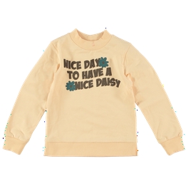 Overview image: O' Chill sweater alise