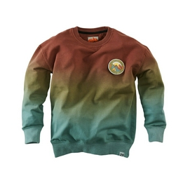Overview image: Z8 sweater briant