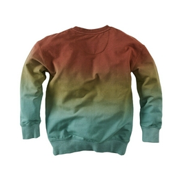 Overview second image: Z8 sweater briant
