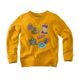 Overview image: Z8 sweater orjan