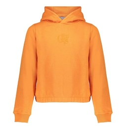 Overview image: Geisha hoodie cropped