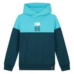 Overview image: Skurk hoodie silver