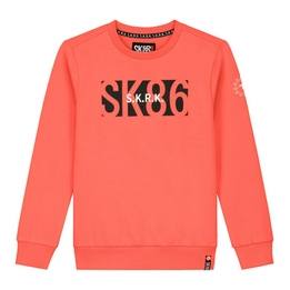 Overview image: Skurk sweater saam