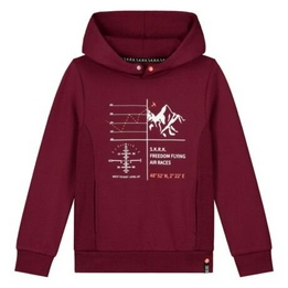 Overview image: Skurk hoodie savijn