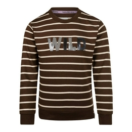 Overview image: Koko noko sweater