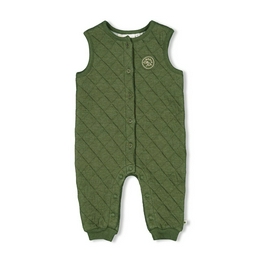 Overview image: Feetje tuinbroek brave