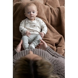 Overview image: Feetje sweater little forest