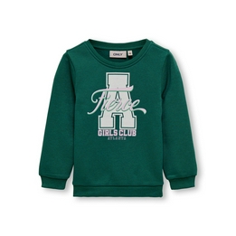 Overview image: Only sweater lotta college