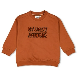 Overview second image: Sturdy sweater fly wild