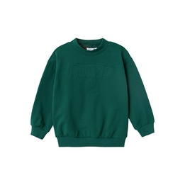 Overview image: Name it sweater rasmus