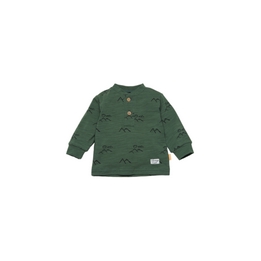 Overview image: BESS sweater