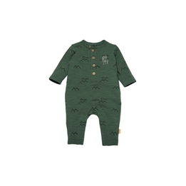 Overview image: BESS playsuit