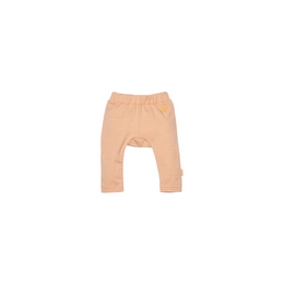Overview image: BESS legging
