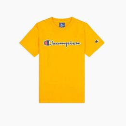 Overview image: Champion t-shirt